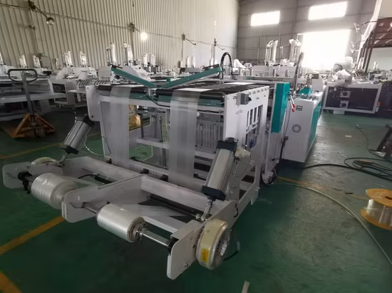 Compostable T descomponible